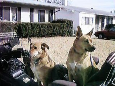 CH24_20053259126_263_2.jpg