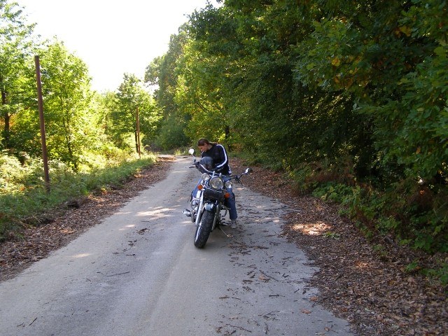 korni on the road