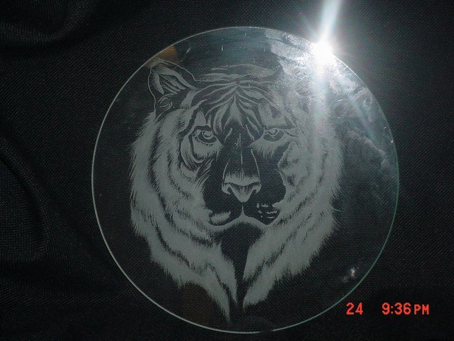 Tiger Head