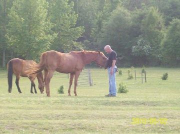 Hawgs For Horses 4/24/2010