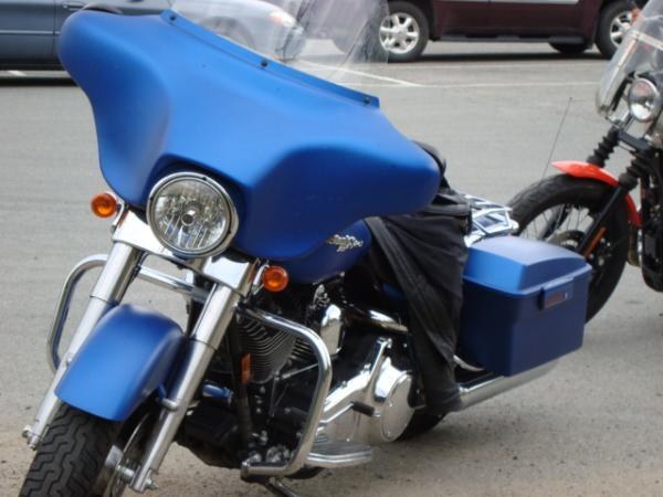 marks blue gun
