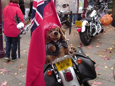 Hog Dog