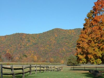 Fall Colors Dunmore WV