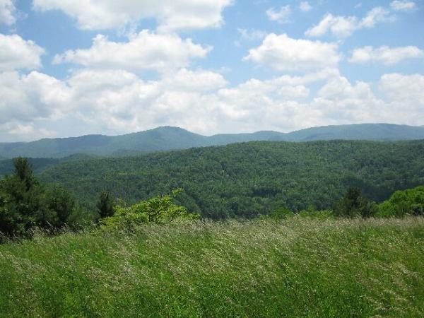 The Blue Ridge Mountians from the Parkway