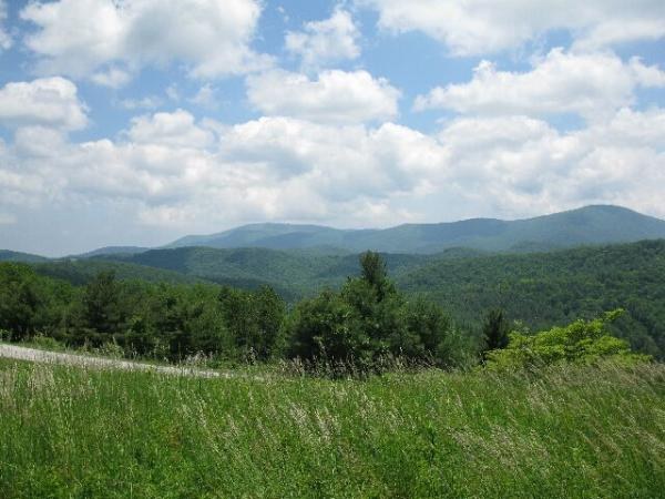 the Beautiful Views