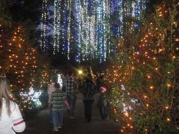 RAINZ AND HOT PEPPER SEENING THE LIGHTS! at Bellingrath Gardens in Theodore! on 12/22/2010