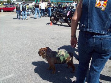 BEULAHFEST RIDE 2011. PLEASE EVERYONE POST THESE PIC IN THIS FOLDER