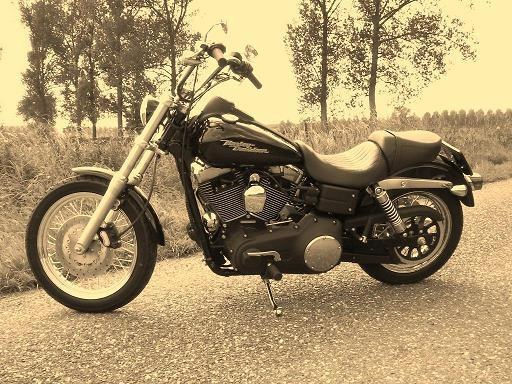 STREETBOB 2007