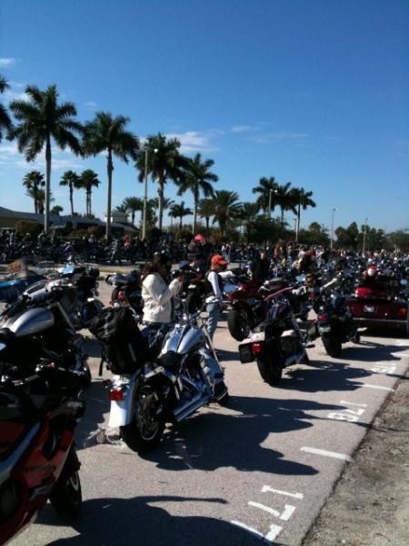 All lined up at the Fairgrounds