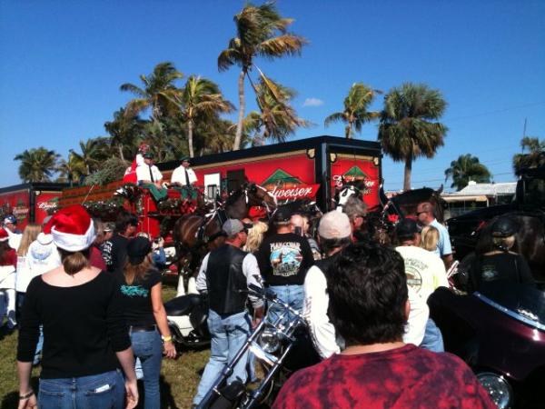 Bud`s Clydesdales