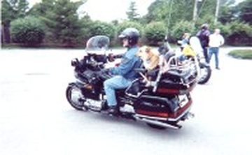 NRR Members Across The World