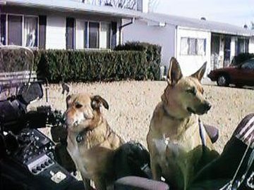 NRR Members Across The World