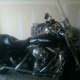 PoleCats Ride