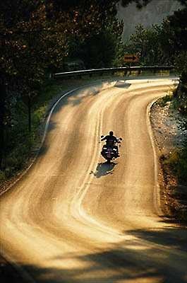 Custer State Park-C-SD