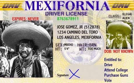 New USA License