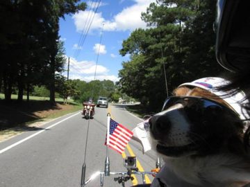 Butch -And- Chewy 2 MLR 2014