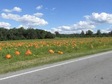 Butch -And- Chewy 2 MLR 2014