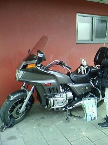 dutch tractor riders