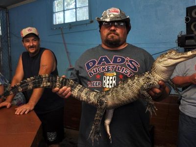 Visiting the Alligator Farm in Hot Springs Ar.