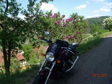 Bulldog BT 1100 Yamaha