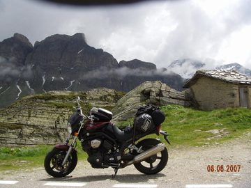 gertis bulldog in the alps