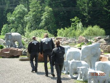 nrr nomads in the black forest