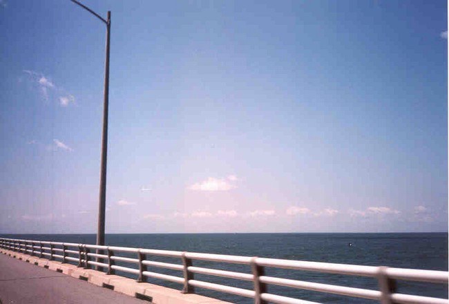 Bridge view