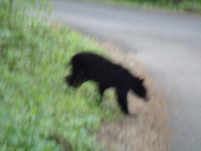 CH20_2012562181_2758_1.JPG