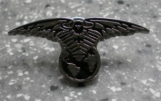 Pin - Eagle/Globe Large